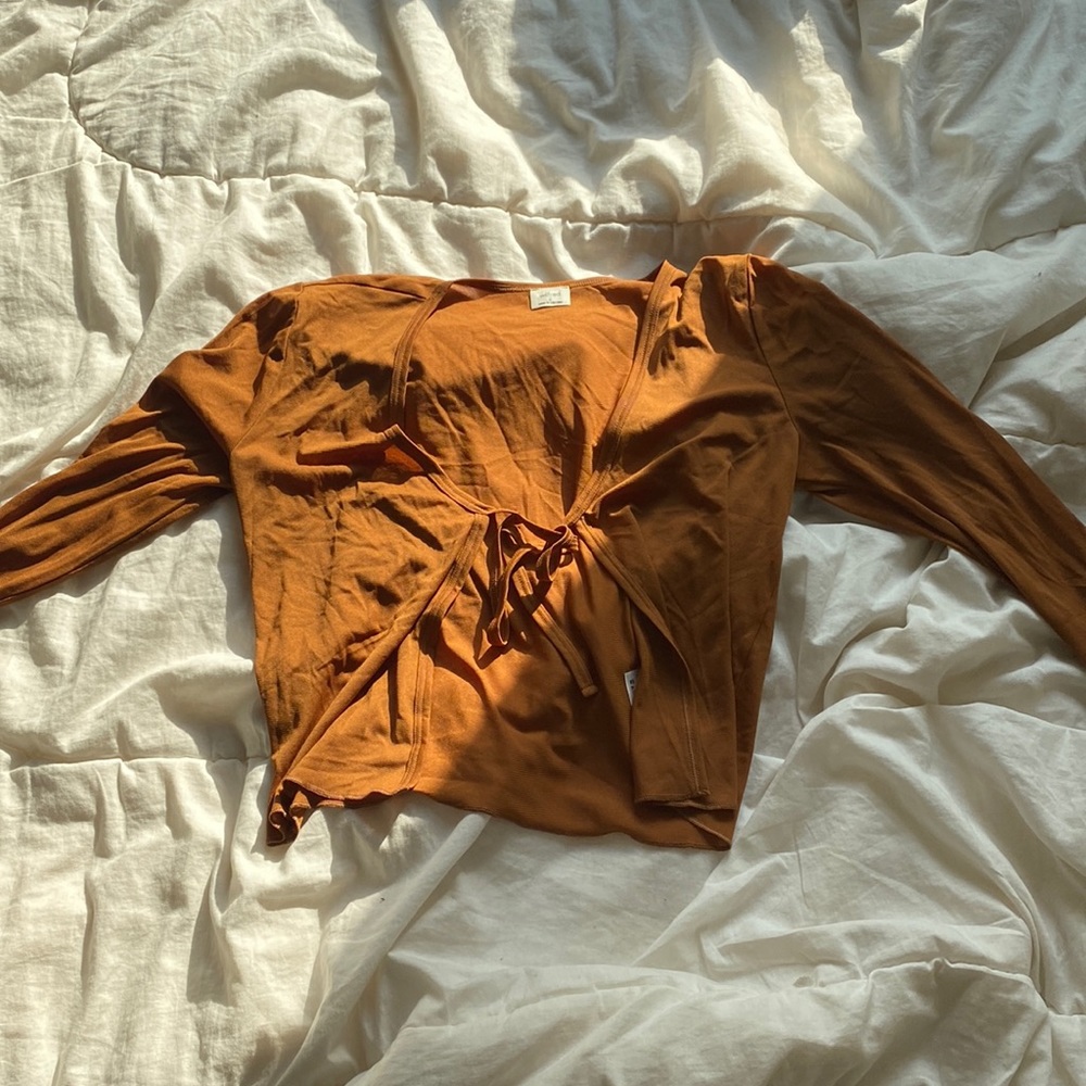 Aritzia Wilfred brown/orange tie in front mesh top